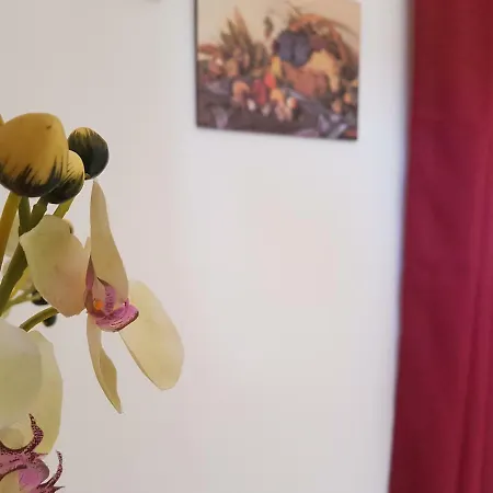 Sikania Affittacamere Casa de hóspedes *